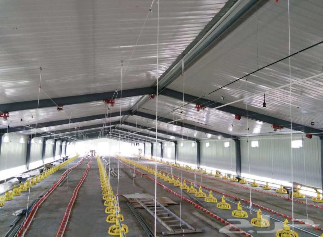 حظائر دواجن