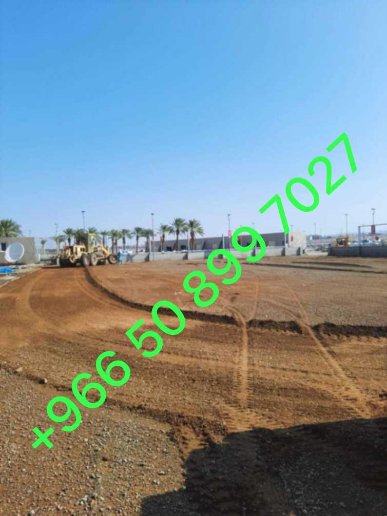 اسفلت  الشرقيه